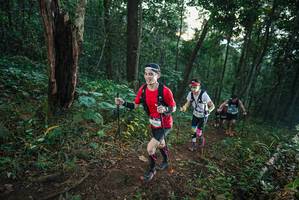 BIB: 
                            <button type="button" onclick="openModal(22429042)" class="btn btn-primary btn-sm float-right btn-popup" data-toggle="modal" data-target=".modal-high-quality">
                        <i class="fas fa-shopping-cart"></i> Add to Cart
                    </button>
                                            <button type="button" onclick="isThisMe(22429042, true)" class="btn btn-success btn-sm float-right btn-popup btn-isme hidden" data-toggle="tooltip" data-placement="bottom" title="นี่คือรูปของคุณใช่ไหม คลิกที่นี่เพื่อเอาเข้าอัลบั้ม">
                        <i class="fas fa-plus"></i> Add to album
                    </button>
                    <button type="button" onclick="isThisMe(22429042, false)" class="btn btn-warning btn-sm float-right btn-popup btn-isnotme hidden">
                        <i class="fas fa-ban"></i> Remove from album
                    </button>